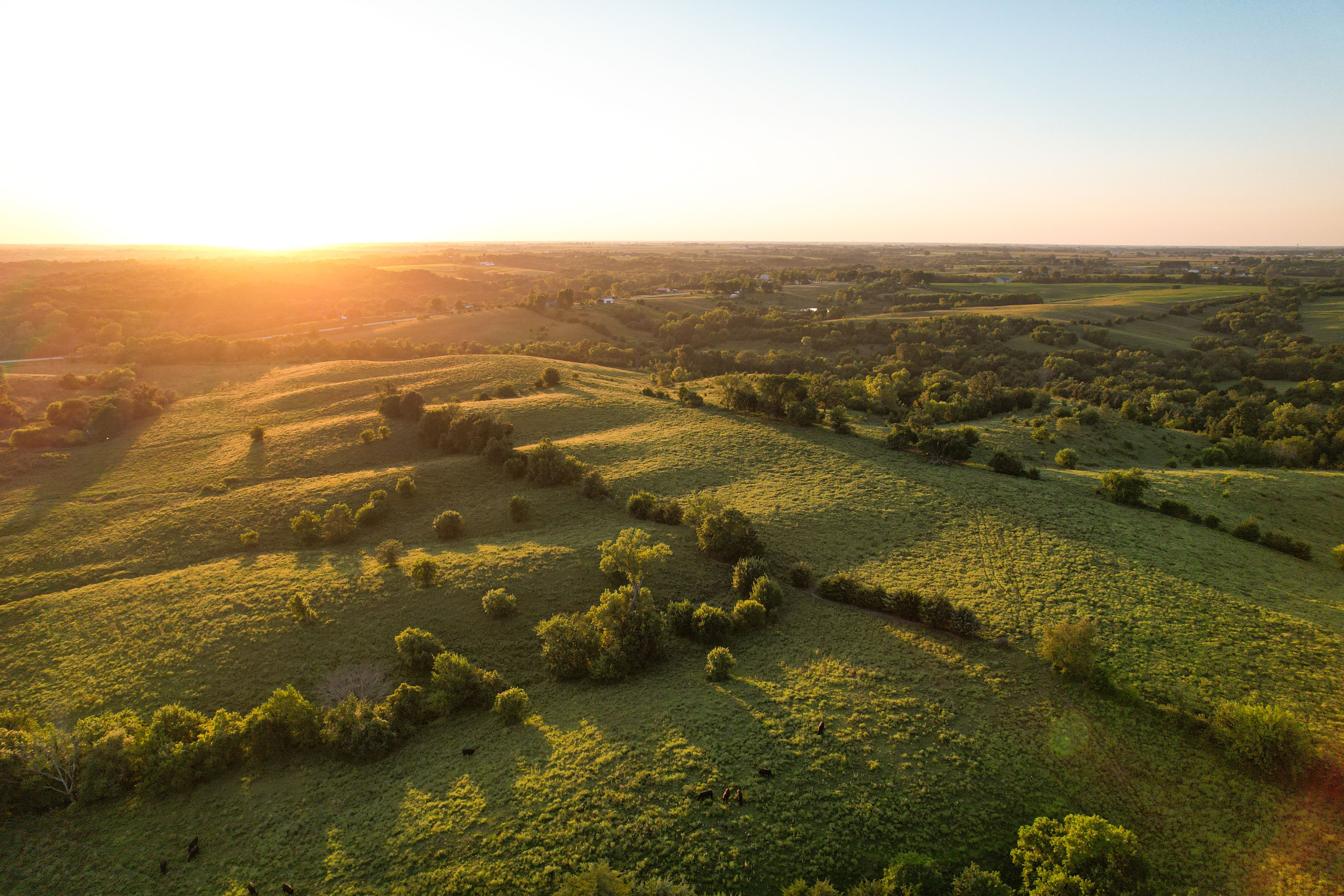 Listing Photo: Photo Aug 20 2025, 7 35 19 PM